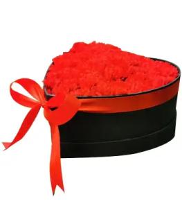 No Carnation Arrangements image