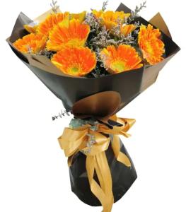 No Gerbera & Daisy image